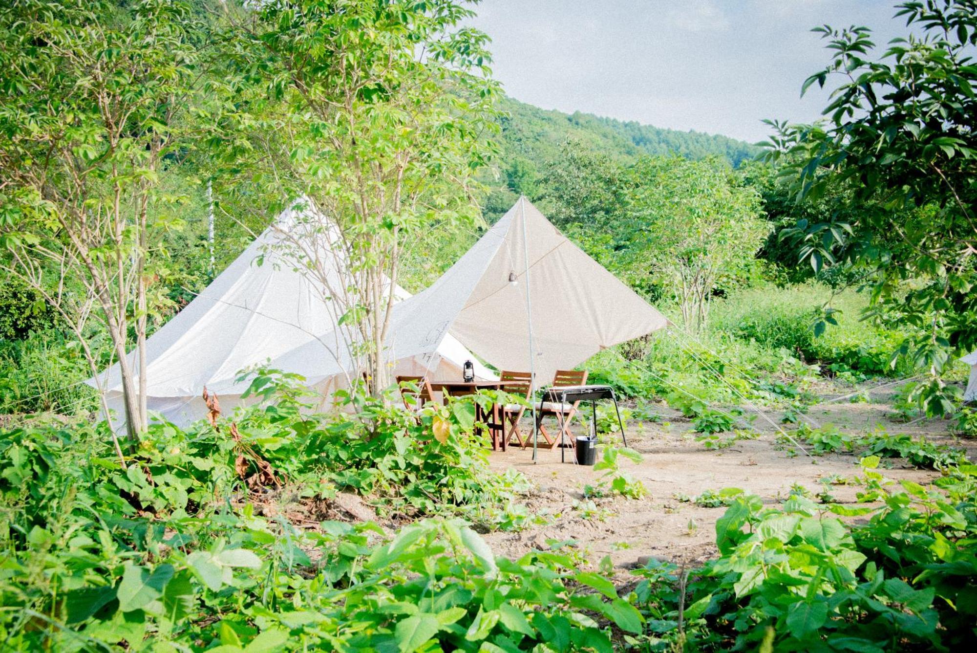 Yoichi Vineyard Glamping Otel Dış mekan fotoğraf