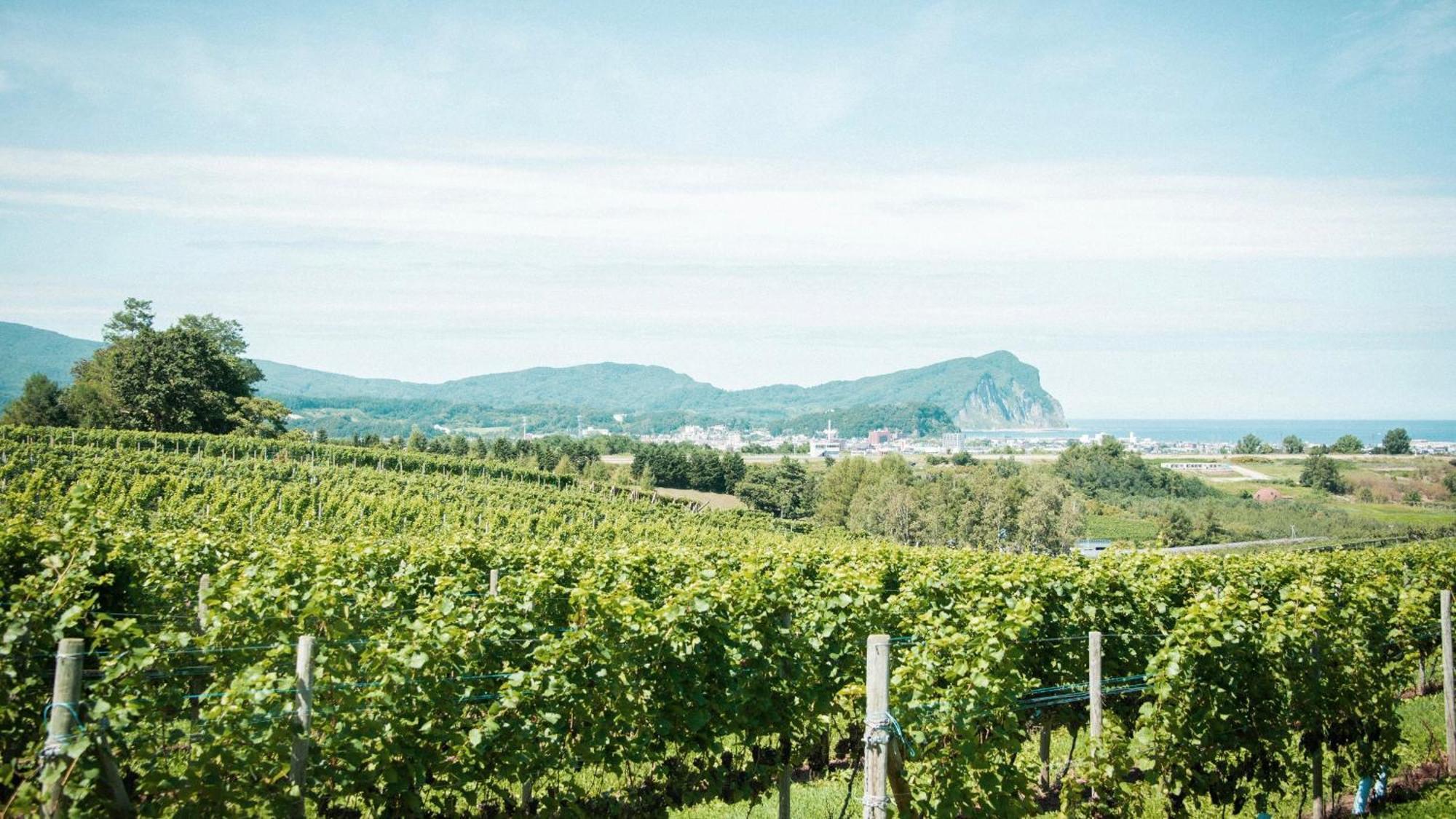 Yoichi Vineyard Glamping Otel Dış mekan fotoğraf
